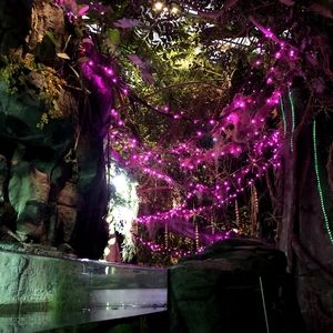 Meet your Posher, Karin